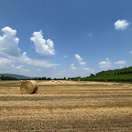 Corte Monticello 아파트
