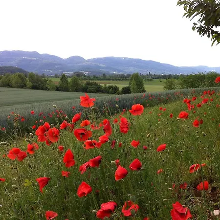 Apartment Corte Monticello